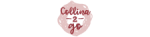 Logo Collina 2 Go