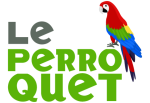 Logo Le Perroquet Bruxelles