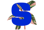 Logo Stera